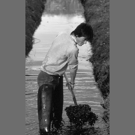 Arbeider die de Nieuwe Beek te Vaassen schoont