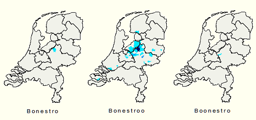 Kerngebied familienaam Bonestero/Boonestro