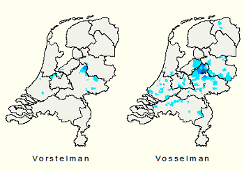 Kerngebied familienaam Vosselman